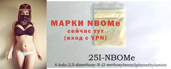 дживик Верхний Тагил