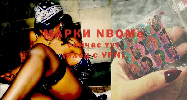 дживик Верхний Тагил