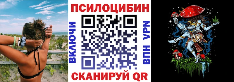 купить  сайты  Юрюзань  Галлюциногенные грибы Psilocybe 